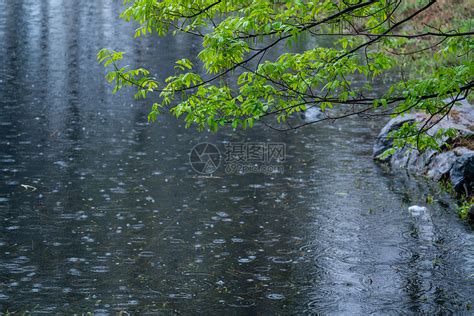 落雨|雨